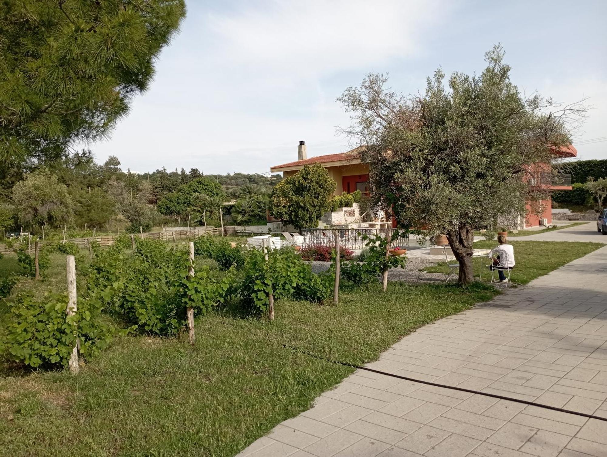 Emarmene Home With Private Pool Near Rhodes Town & Airport Коскину Экстерьер фото